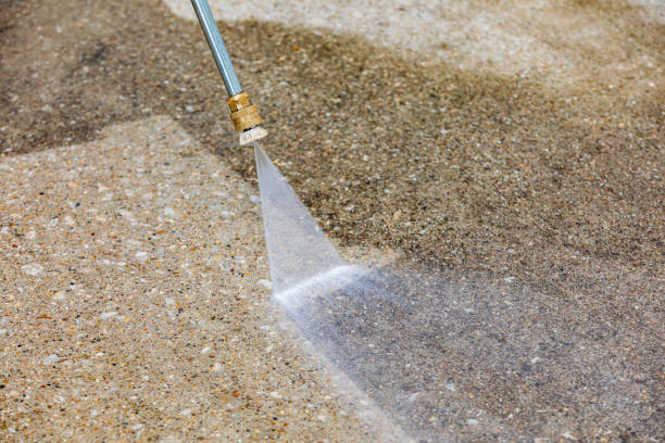 Best Roof Cleaning and Mildew Removal in Pine City, MN
